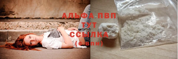 хмурый Осинники