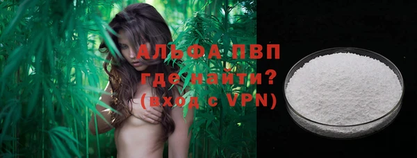 хмурый Осинники
