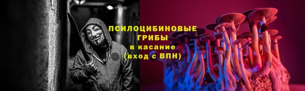 дмт Пересвет