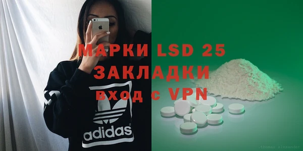 хмурый Осинники