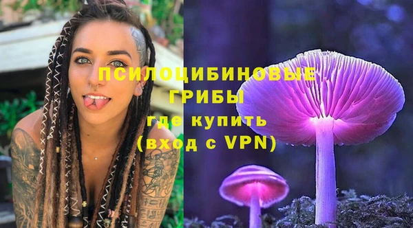 хмурый Осинники