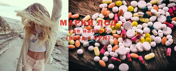 хмурый Осинники