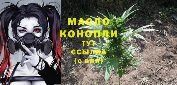 хмурый Осинники