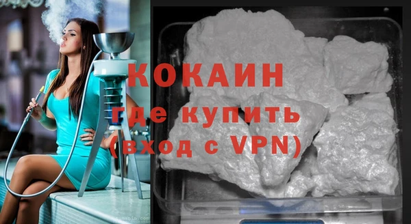 хмурый Осинники