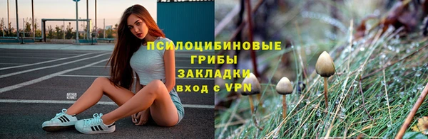 2c-b Осташков