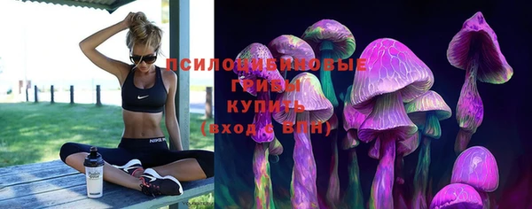 хмурый Осинники
