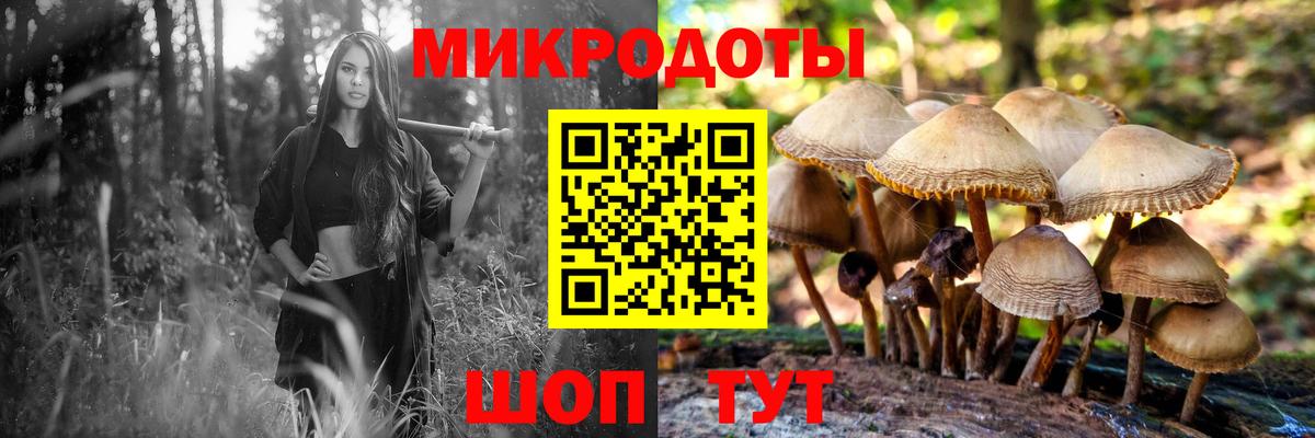 Галлюциногенные грибы Cubensis  купить закладку  Югорск  Вход с VPN 